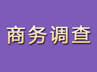 葫芦岛商务调查